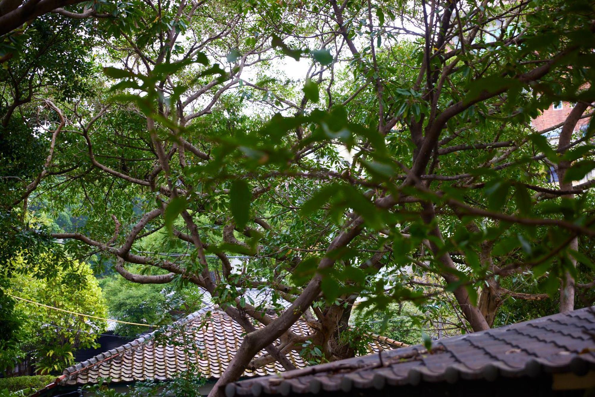 Kyokusui Hotspring Hotel Tajpej Buitenkant foto